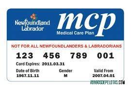 Cartão de plano médico de Terra Nova e Labrador exemplo